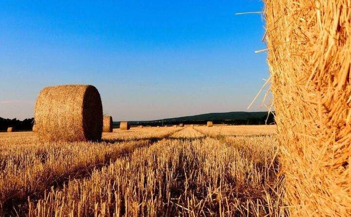 支持生物質(zhì)能取暖，補(bǔ)貼爐具2000元、燃料600元/噸