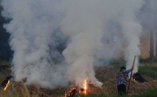 農(nóng)民焚燒秸稈 農(nóng)民焚燒秸稈