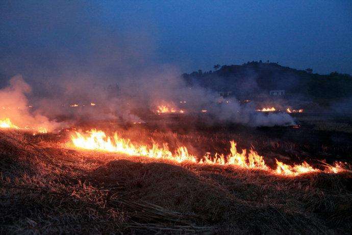 農(nóng)民晚上偷燒秸稈