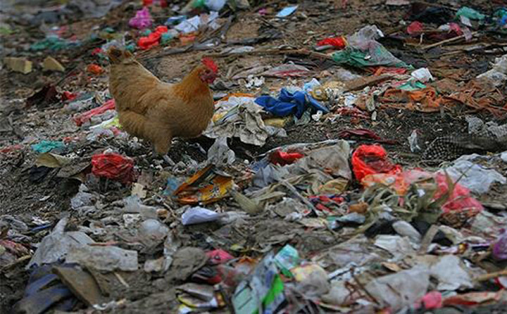 農(nóng)村垃圾廢棄物