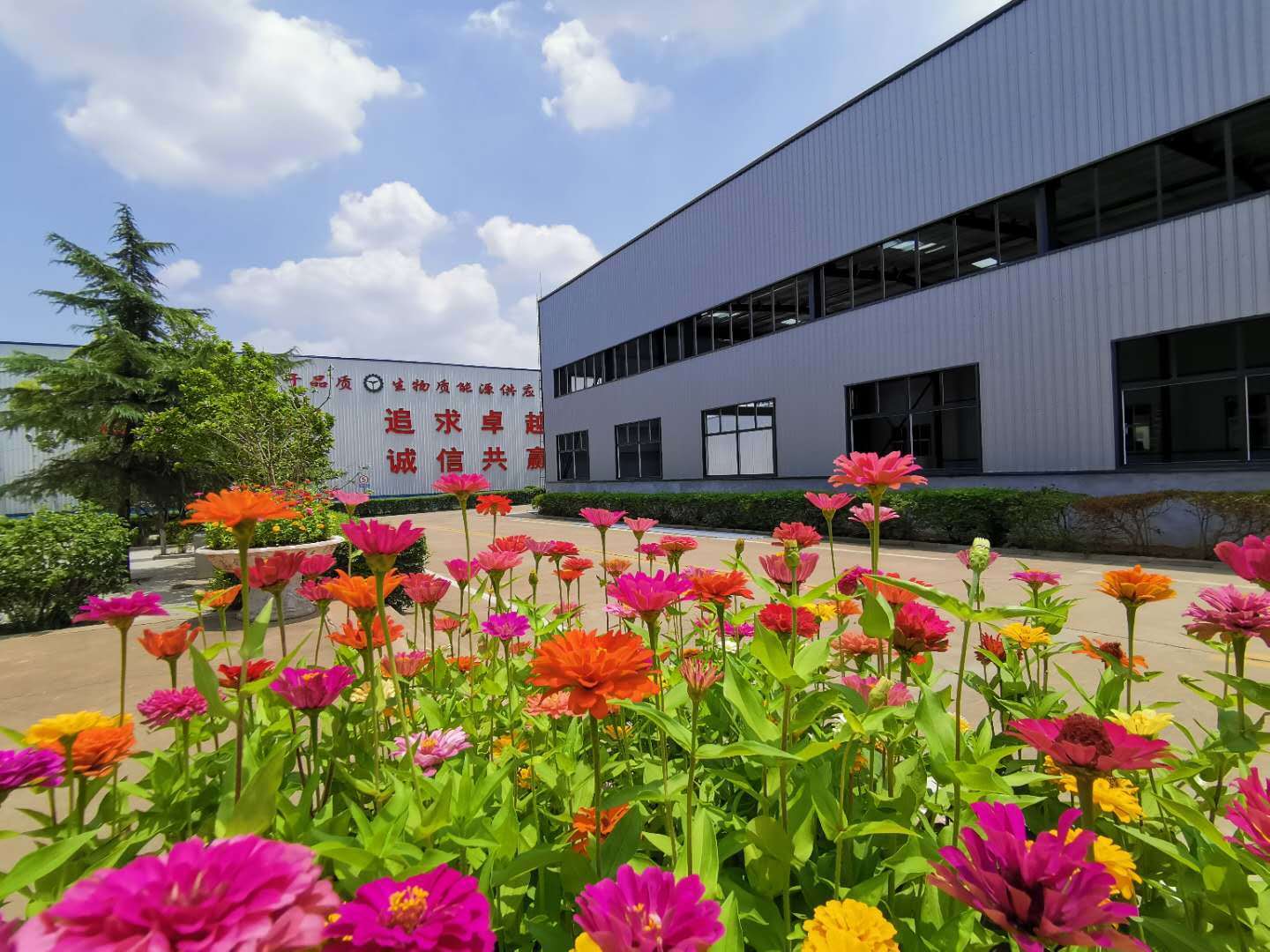 秸稈顆粒機生產(chǎn)廠家 秸稈顆粒機生產(chǎn)廠家