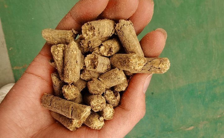 秸稈飼料顆粒機(jī)提高秸稈利用率，飼料顆粒機(jī)是以玉米、豆粕、秸稈、草、稻殼等為原料，通過(guò)粉碎原料后直接壓制成顆粒的飼料加工機(jī)械。