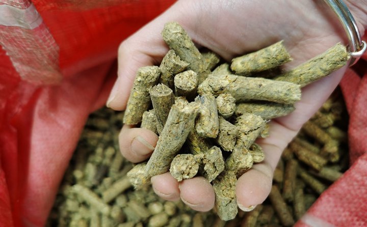 秸稈顆粒機(jī)加工的秸稈固化成型燃料