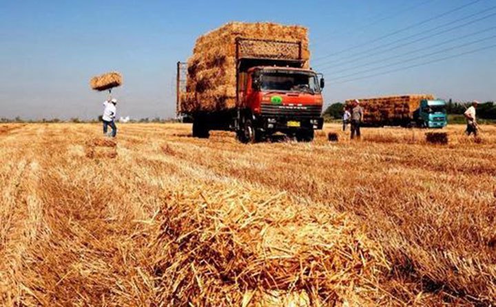 甘肅省秸稈綜合利用試點(diǎn)項(xiàng)目建設(shè)有序推進(jìn) 甘肅省秸稈綜合利用試點(diǎn)項(xiàng)目建設(shè)有序推進(jìn)